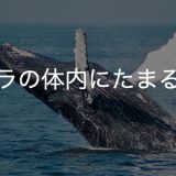 水でデトックス